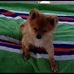 Meet your Posher, Colette